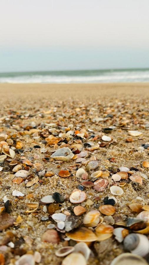 Quarto Sertao No Mar Barra do Cunhau Εξωτερικό φωτογραφία